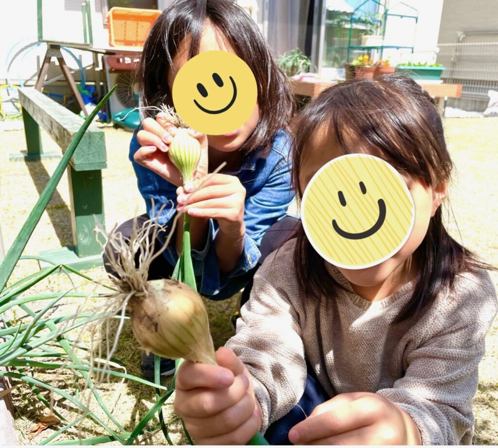 玉ねぎ収穫した娘たちの画像