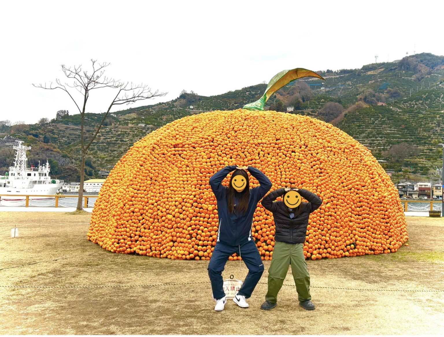 車中泊・道の駅八幡浜みなっと